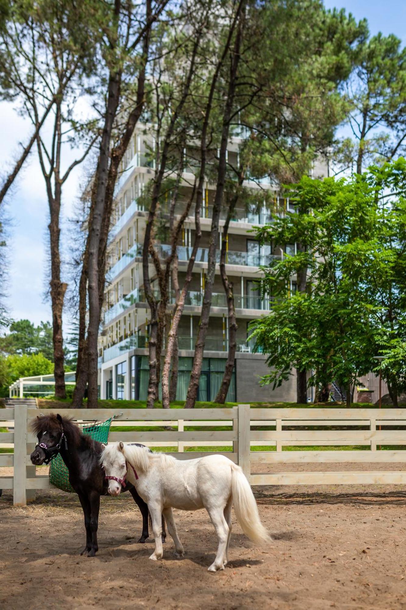 Magnika Resort เชคเวทิลี ภายนอก รูปภาพ